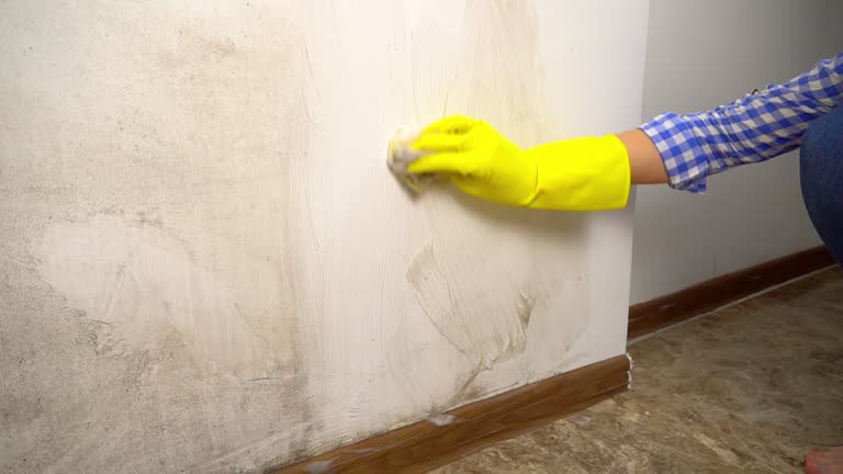 Best Residential Mold Inspection & Testing  in Matamoras, PA